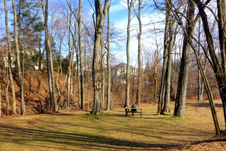 Minuteman Bikeway - Lexington, MA - DSC04554