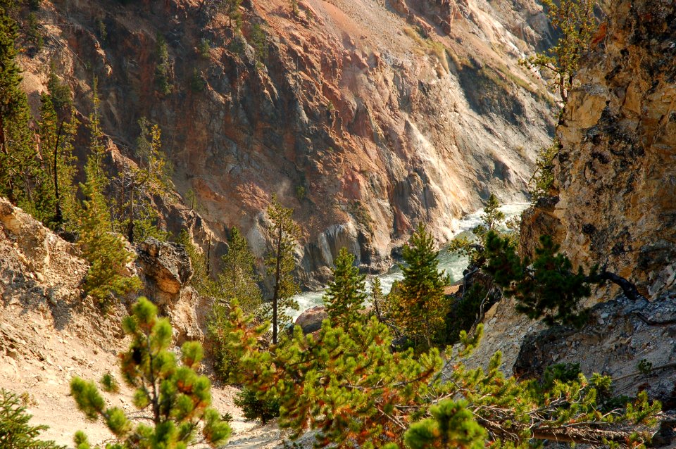 Miscellaneous Location in Yellowstone (2)