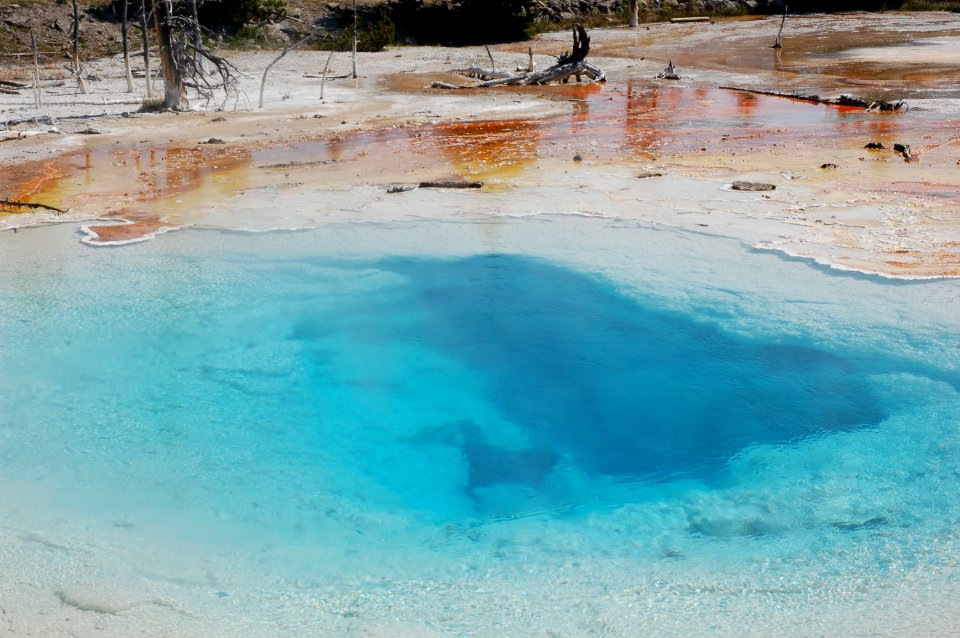 Miscellaneous Hot Spring in Yellowstone