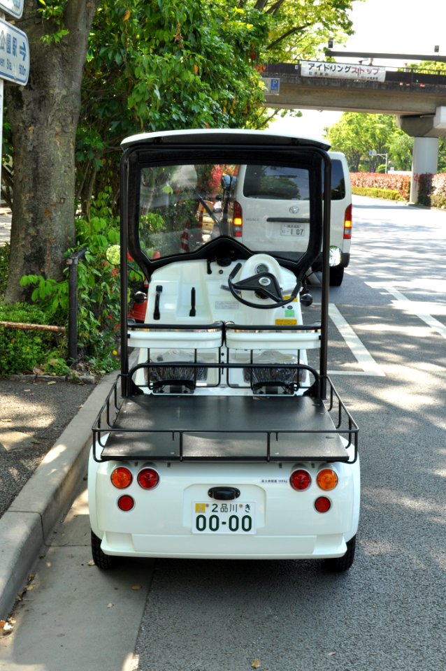 Mitsuoka Like 004
