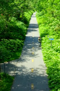 Minuteman Bikeway - Arlington, MA - DSC02554