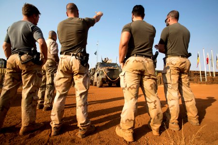 MINUSMA Task Group Desert Falcon-8