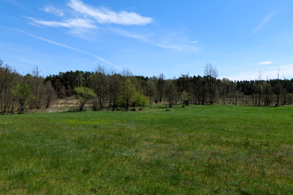 Mittelleber 2021-05-09 26