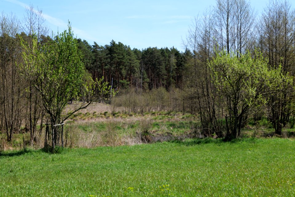 Mittelleber 2021-05-09 27