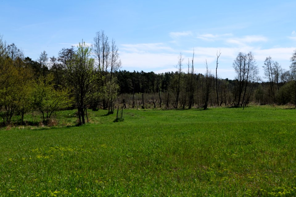 Mittelleber 2021-05-09 30