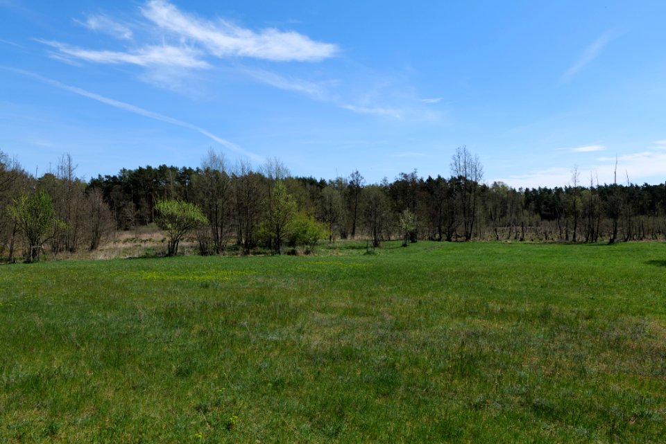 Mittelleber 2021-05-09 23