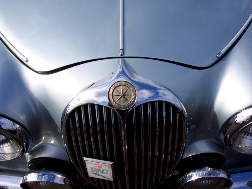 Mitsuoka Viewt pic2