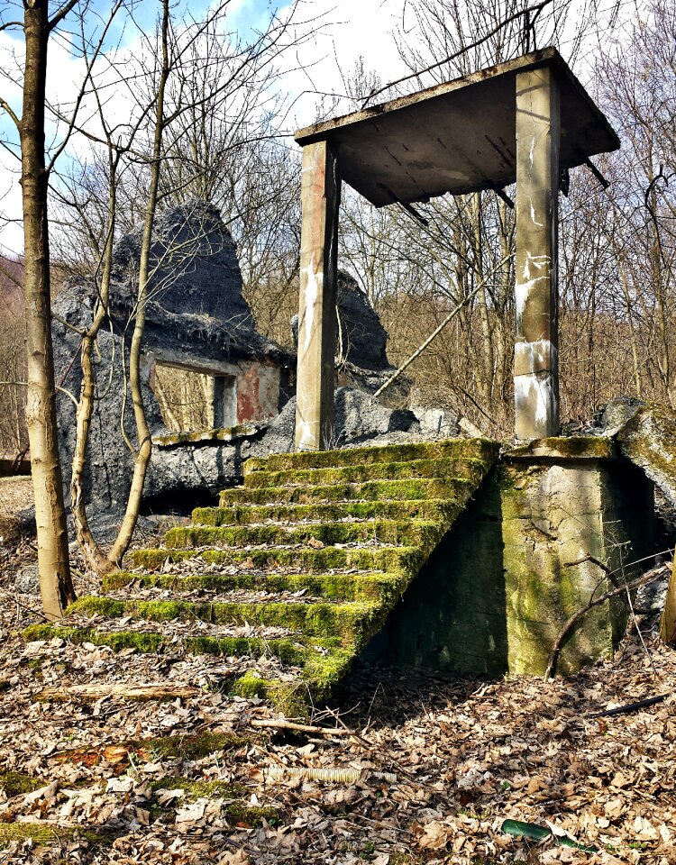 Stairs moss old age