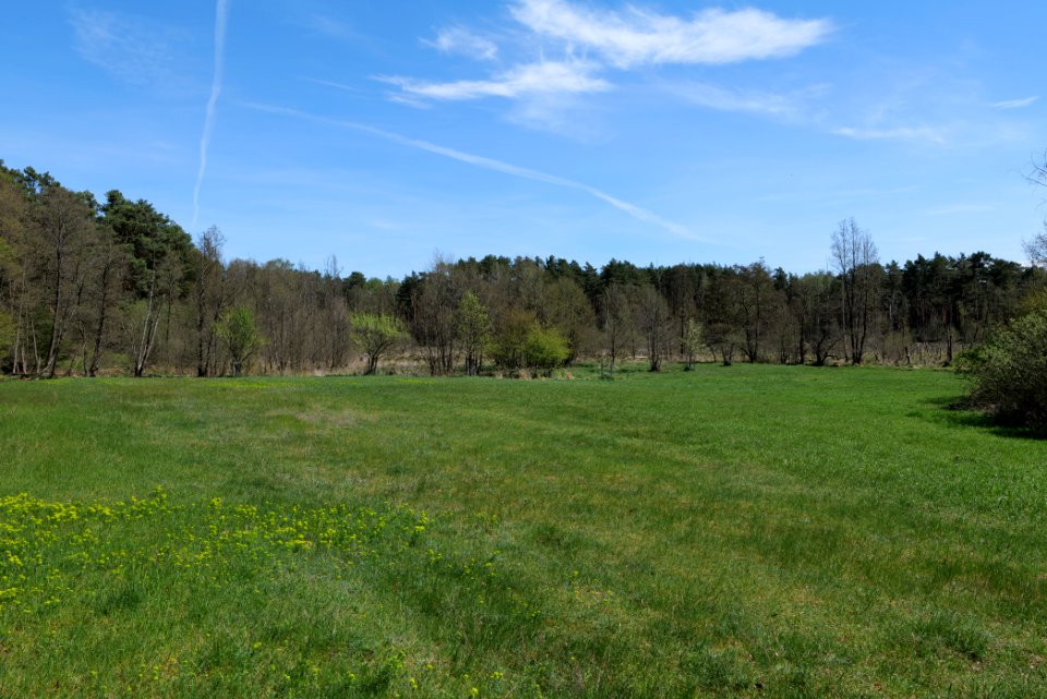 Mittelleber 2021-05-09 17