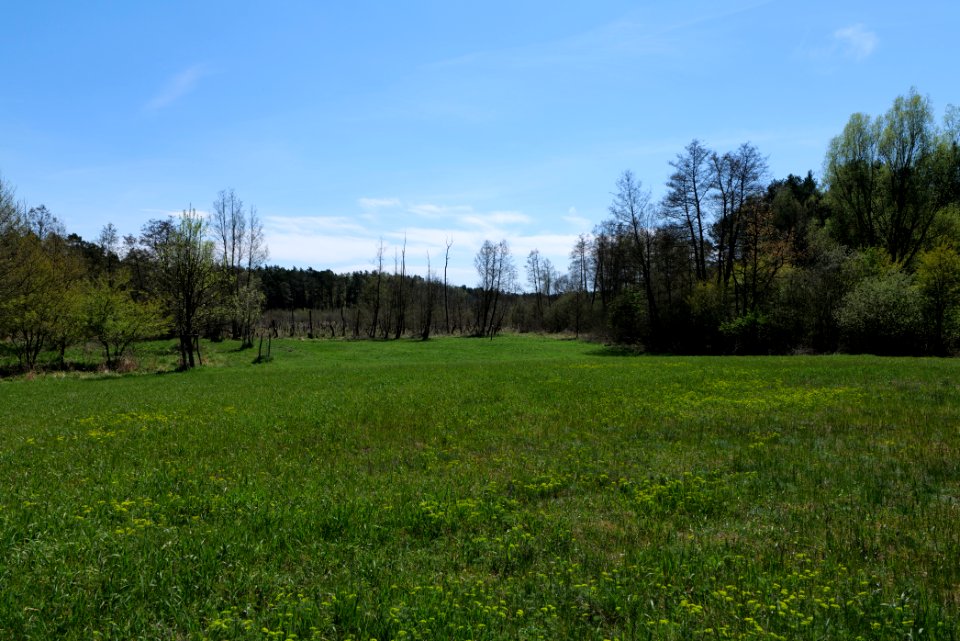 Mittelleber 2021-05-09 34