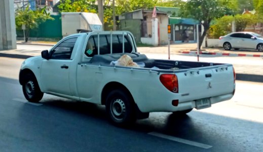 Mitsubishi Triton CNG Regular Bed Rear
