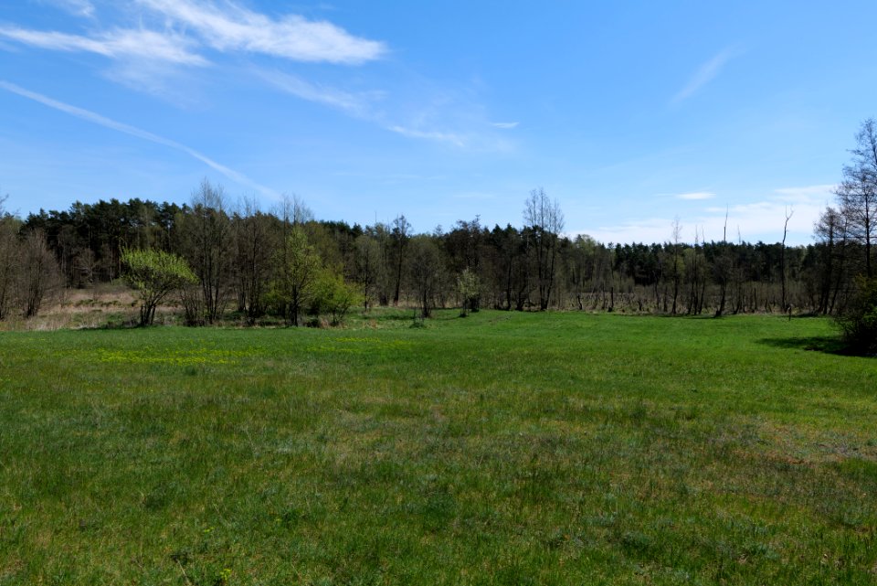Mittelleber 2021-05-09 18