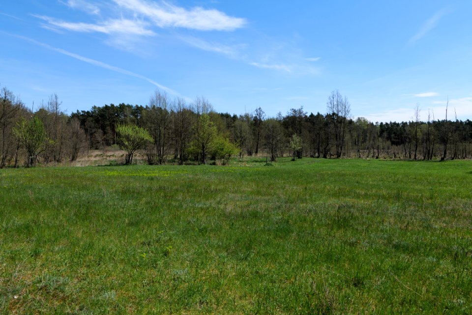 Mittelleber 2021-05-09 24