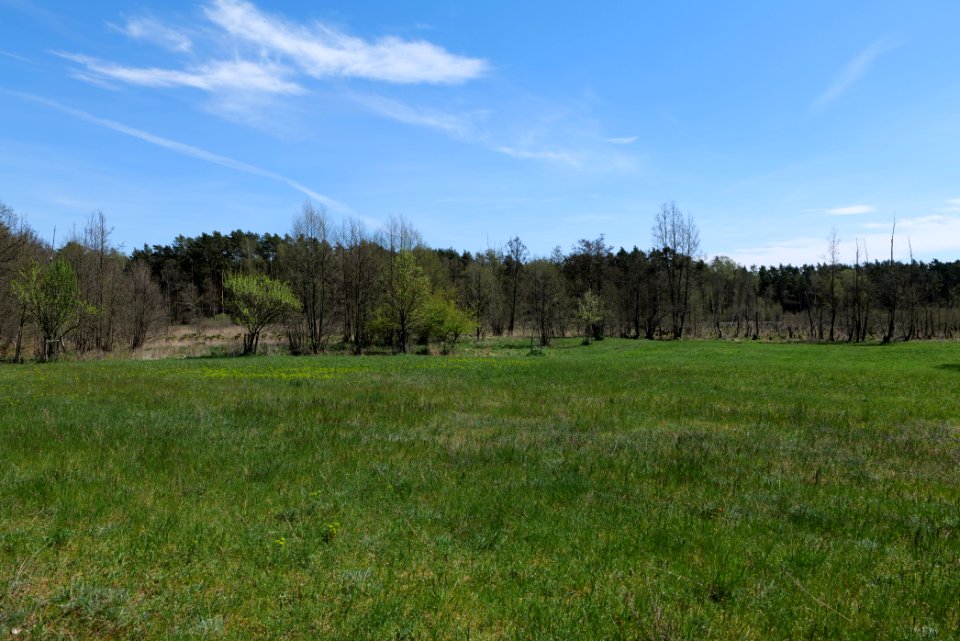 Mittelleber 2021-05-09 25