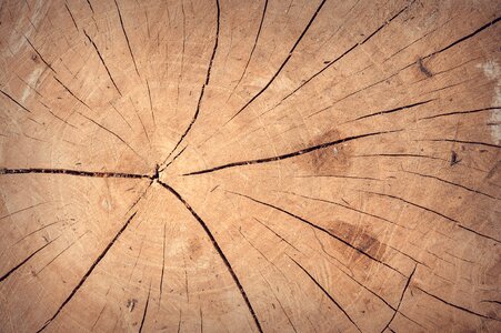 Background board brown