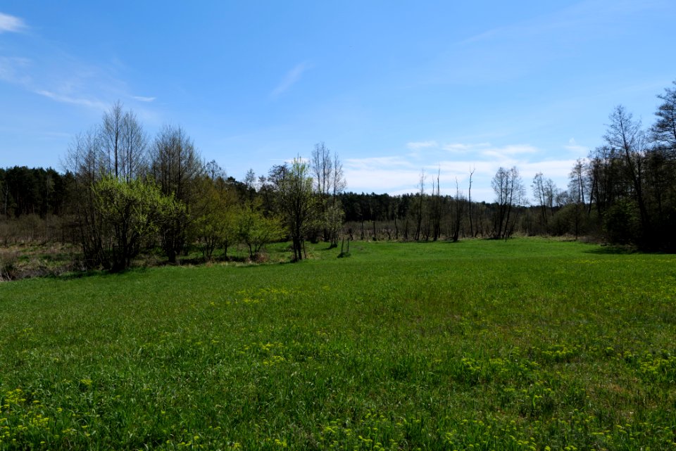 Mittelleber 2021-05-09 32