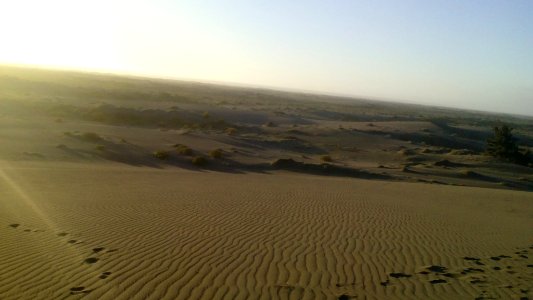 Mist In The Dunes (224706181)