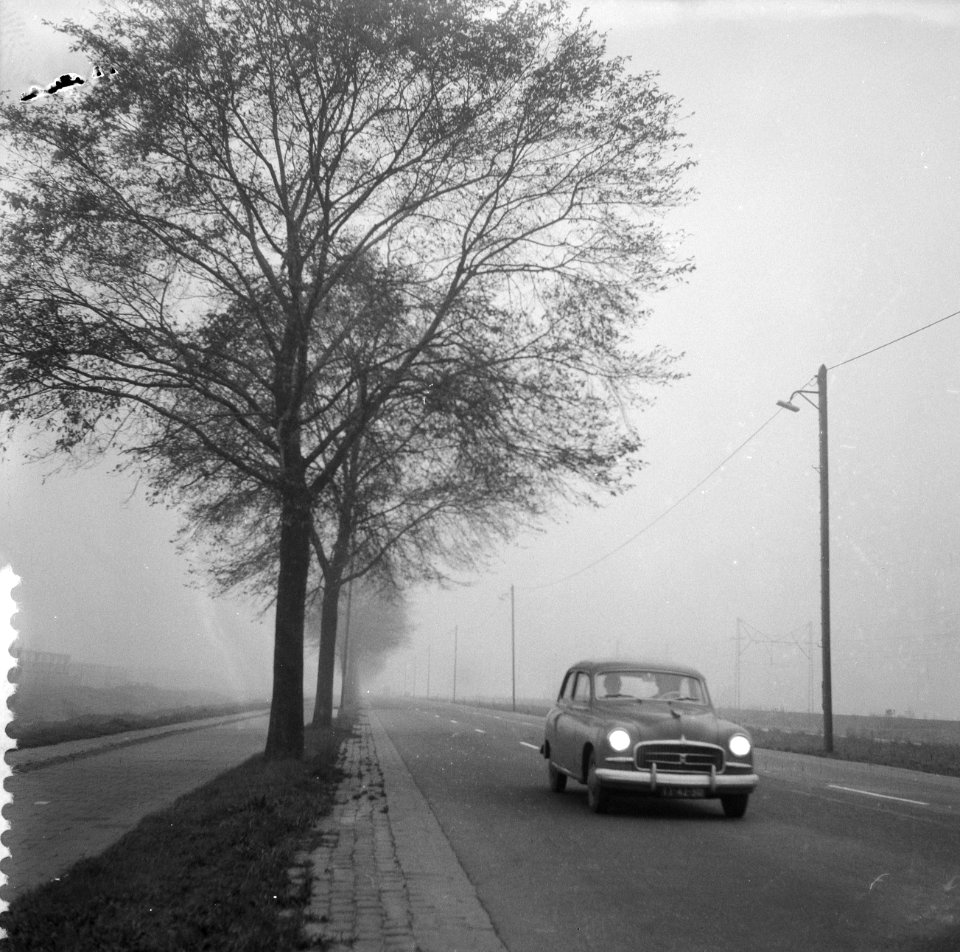 Mistige dag op de Haarlemmerweg, Bestanddeelnr 909-9352