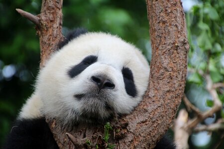 Rest relax china