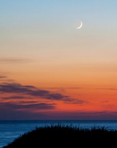 Mm00a 1405 Moon Over Dune (73502623)