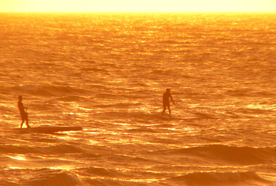 Mm00a 1405 Surfin Tvj (73501975)