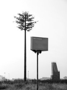 Mm49a 1406 Modern Tree (73783537)