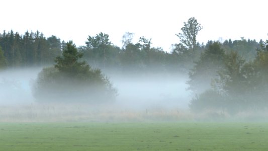 Mist in the field by north Myrstigen 2
