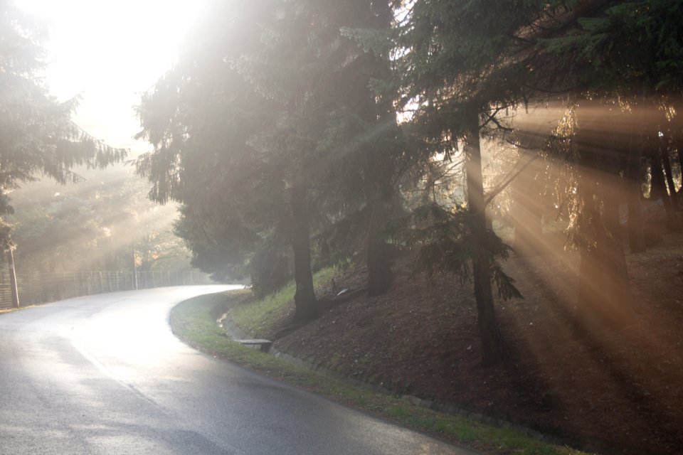 Mist in Galyatető