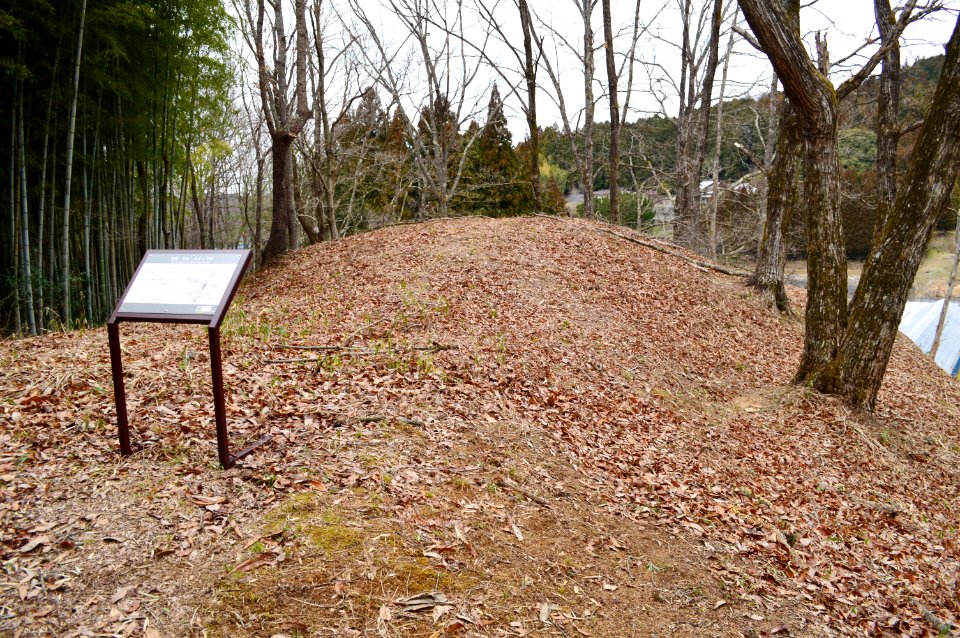 Mita-Osawa Kofun Group-4