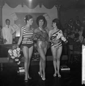 Miss Rotterdam 1962 verkiezingen, Bestanddeelnr 913-8492