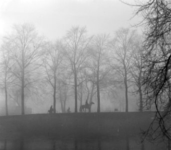 Mist in Vondelpark, Bestanddeelnr 905-4446