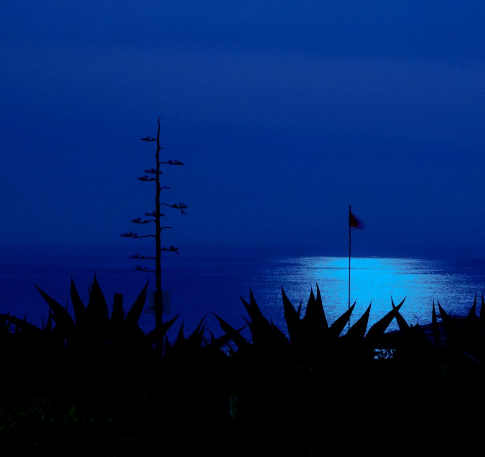 Mm00a 1406 Moonlight (73684659)