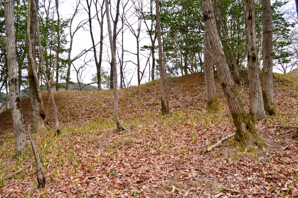 Mita-Osawa Kofun Group-1