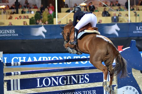 Equestrian jump obstacle