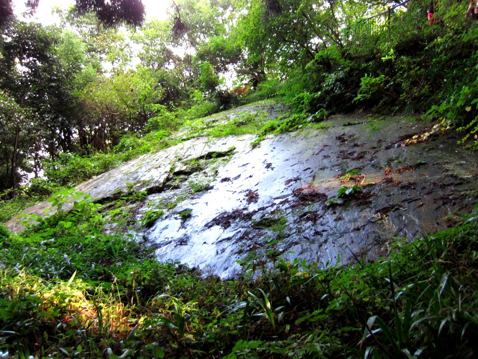 Mitakeno-kagamiiwa