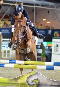 Tournament competition equestrian