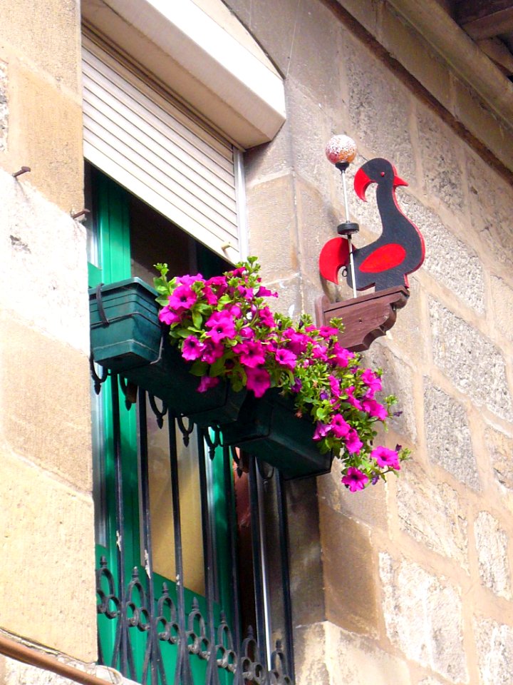 Miranda de Ebro - Ventana con gallo