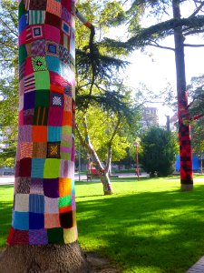 Miranda de Ebro - Yarn bombing en el Parque Antonio Machado 05