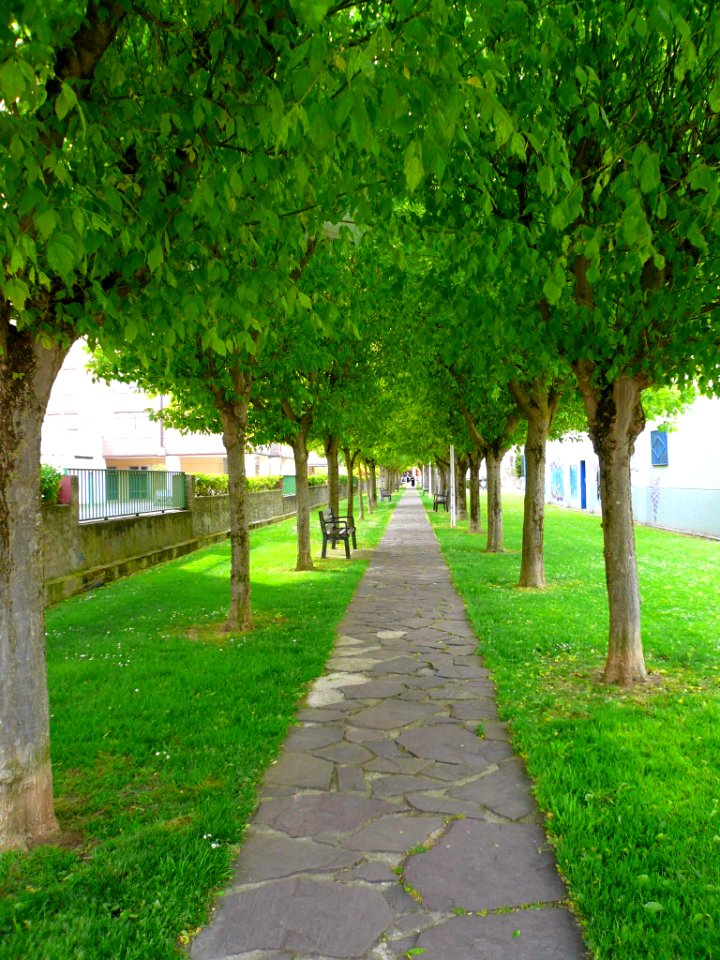 Miranda de Ebro - verde de abril