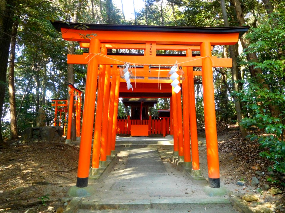 Mito-Jinja DSCN2534