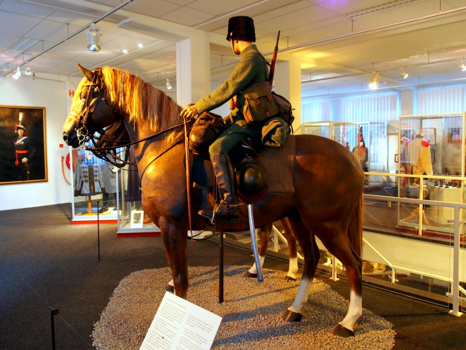 Mitrailleurpaard met Lewis Mitrailleur, foto 1