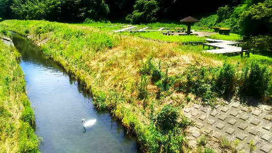 Mito ibaraki sakasa river 05