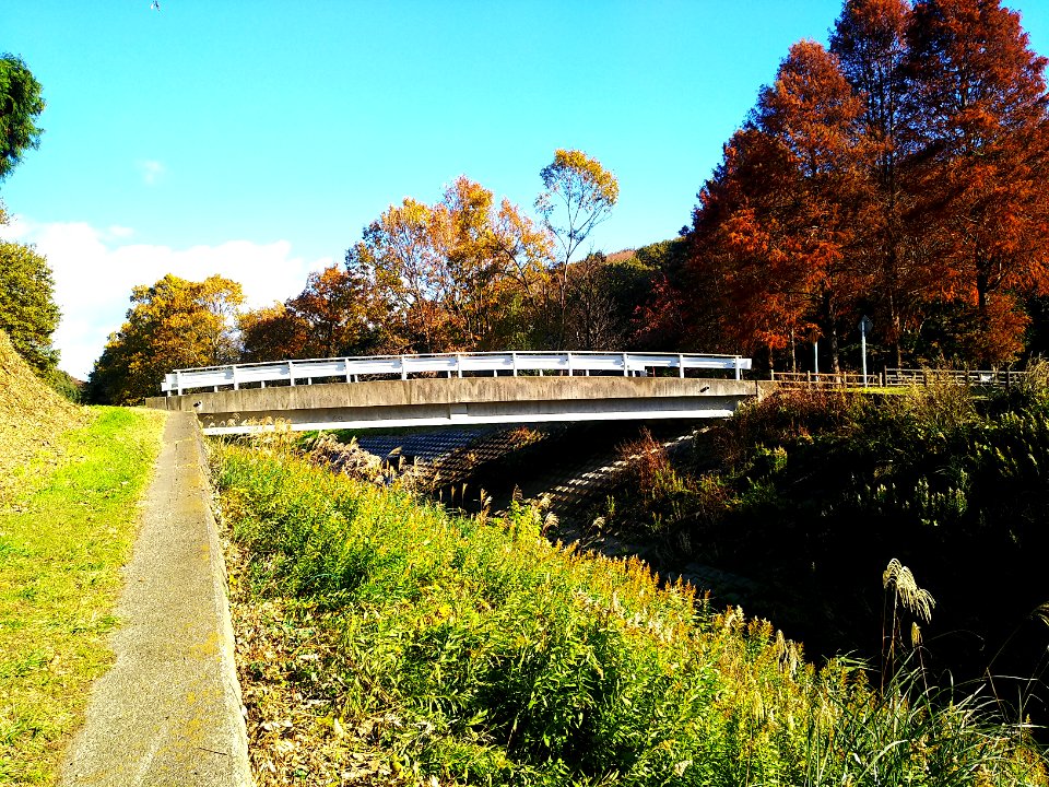Mito ibaraki sakasa river bridge 10 shio