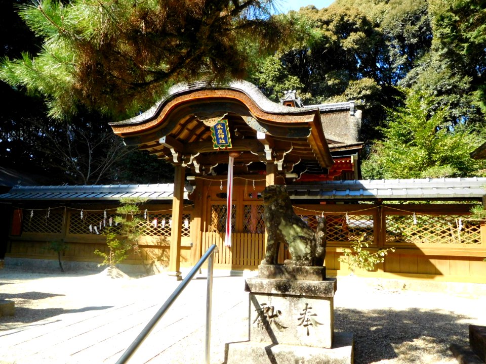 Mito-Jinja DSCN2542