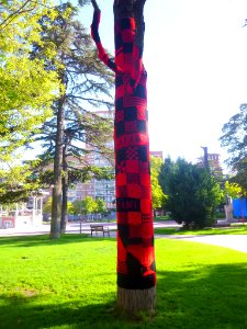 Miranda de Ebro - Yarn bombing en el Parque Antonio Machado 07