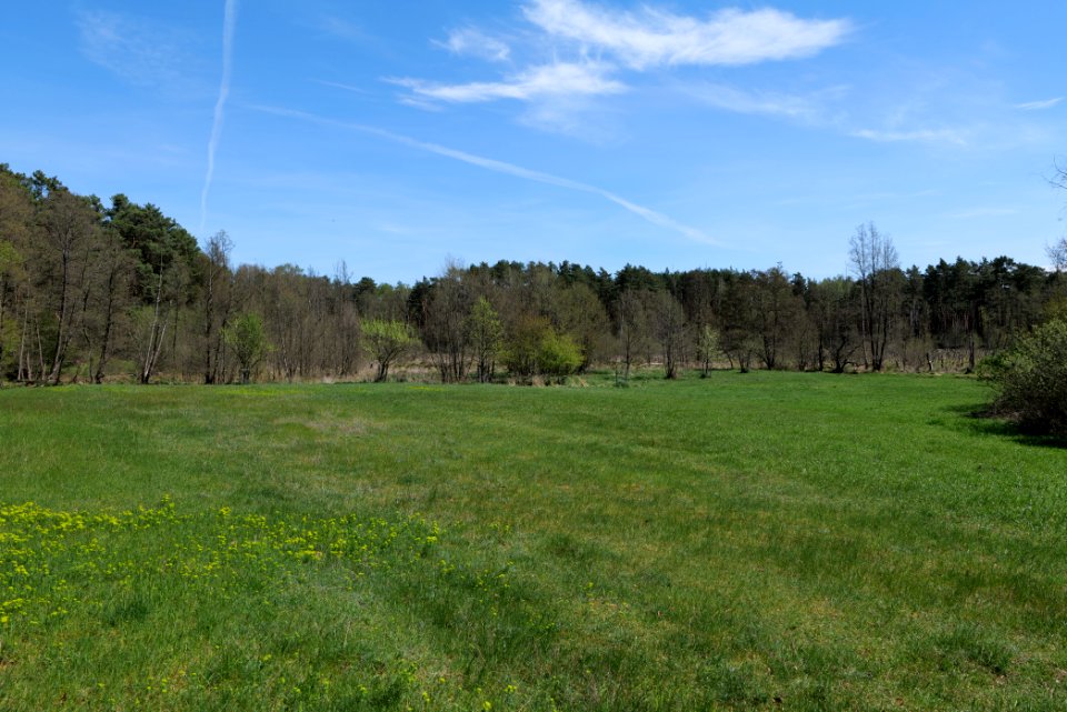 Mittelleber 2021-05-09 16