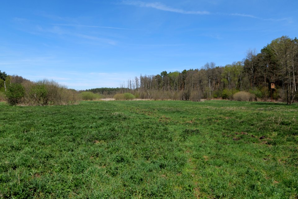 Mittelleber 2021-05-09 08