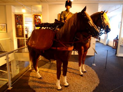 Mitrailleurpaard met Lewis Mitrailleur, foto 2