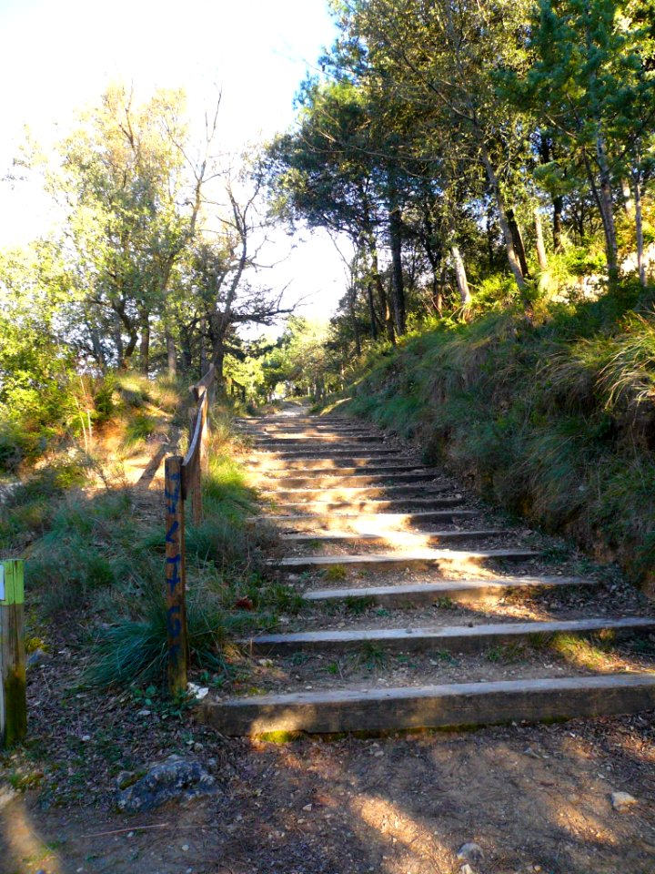 Miranda de Ebro - San Juan del Monte 31