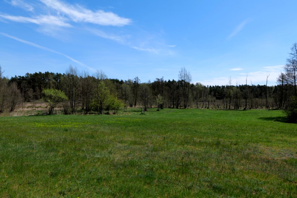 Mittelleber 2021-05-09 19